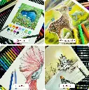 Color Box 4.webp
