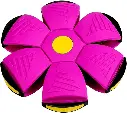 Pink-1.webp