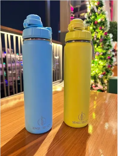 Stainless Steel Vacuum Insulated Sports Water bottle 22Oz, with Two Lids - Perfect for School, Gym, Daily use and hydration on the go